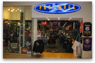 Franchise Consultant